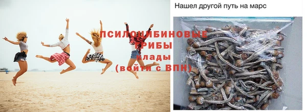 МДПВ Абаза