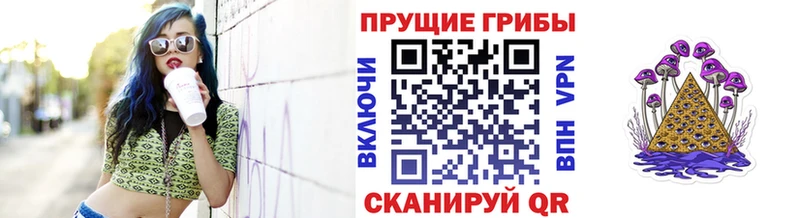 Псилоцибиновые грибы Cubensis  Туринск 